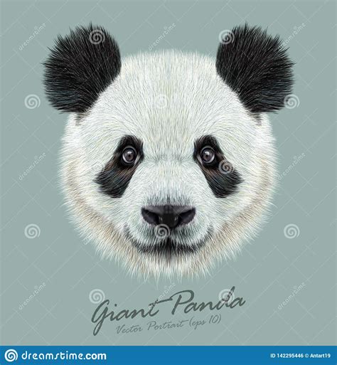 Panda Drawing Realistic Face Gwerh