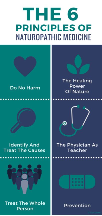 What Is Naturopathic Medicine Learn More Now With Aanmc