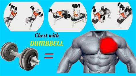Chest Exercise 10 Great Exercises With Dumbbells To Build Chest Muscle