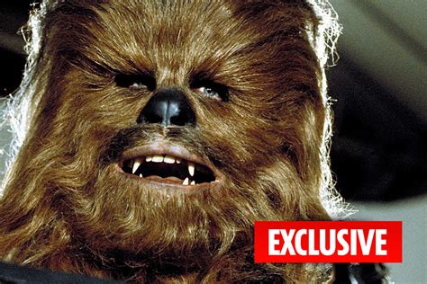 Swingers Dressed As Chewbacca Han Solo And Darth Vader Are Expected At