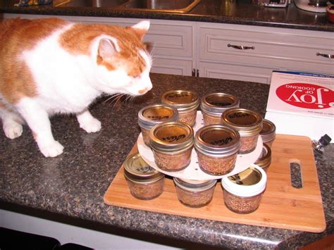 Maybe you would like to learn more about one of these? Homemade canned cat food | Canned cat food, Homemade cat ...