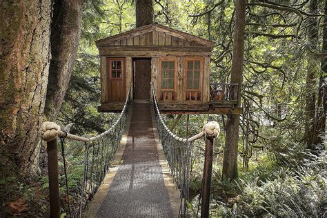 18 Treehouse Interiors Youll Love
