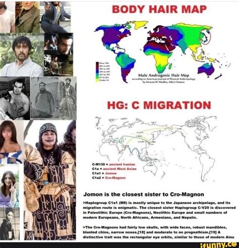Body Hair Map Male Androgenic Hair Map No Mney Ale Hg C Migration C M130 Ancient Iranian Cta