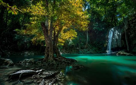 Nature Landscape Waterfall Thailand Trees Roots