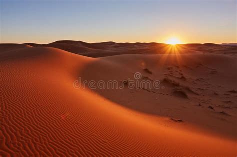 Beautiful Sunset In The Sahara Desert Stock Photo Image