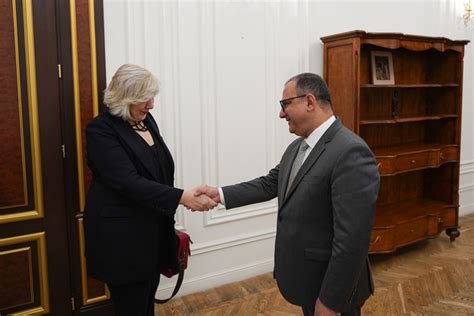 Deputy Prime Minister Tigran Khachatryan Receives The CoE Human Rights