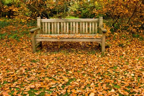 Park Bench In Autumn Stock Photo Image Of Lawn Fall 11495284