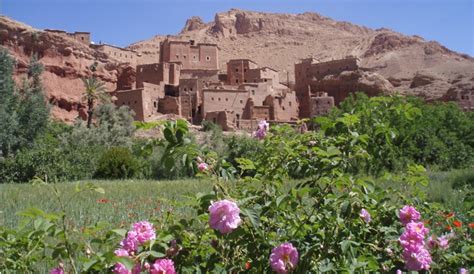 Enchanted Morrocan Kasbah In The Roses Valley Pure Inspirations