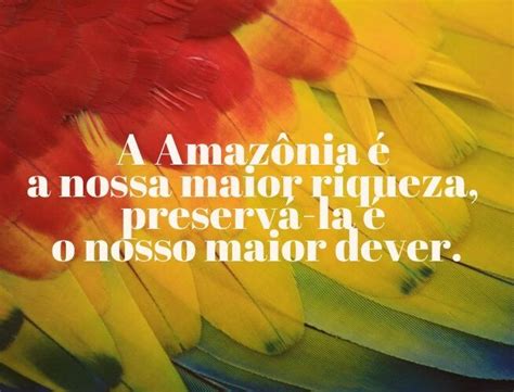 25 Frases Sobre A Natureza Para Celebrar O Dia Da Amazônia Pensador