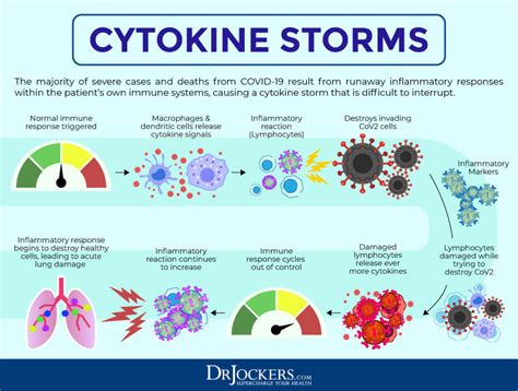 Cytokine Storms Diagram Quizlet
