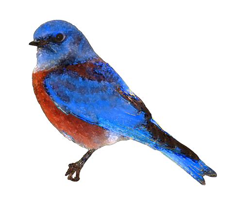 Bluebirds Clipart 20 Free Cliparts Download Images On Clipground 2024
