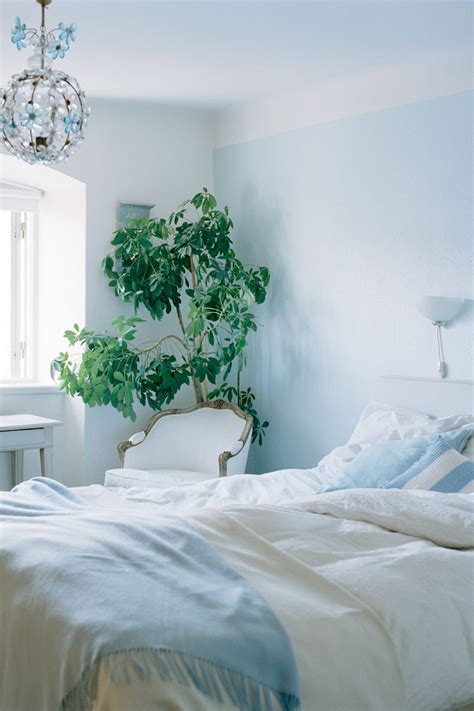 Best Ice Blue Walls For Small Space Home Decorating Ideas