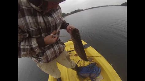 15 Lb Northern Pike Youtube