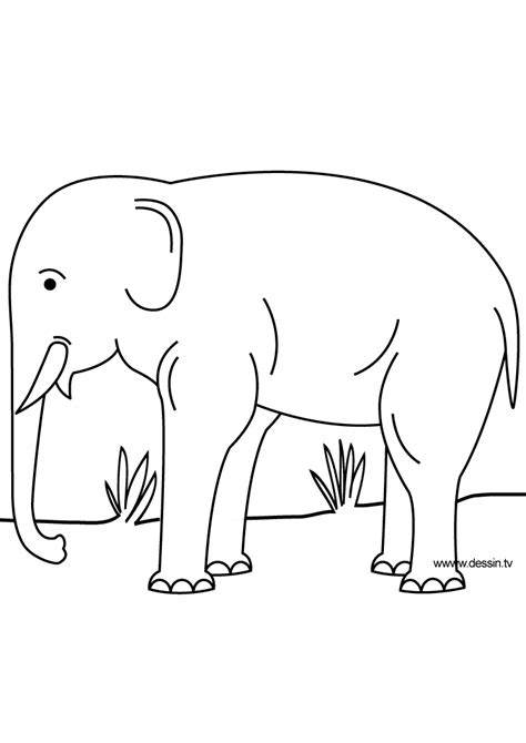 Free coloring sheets to print and download. Asian Elephant Coloring Pages - GetColoringPages.com