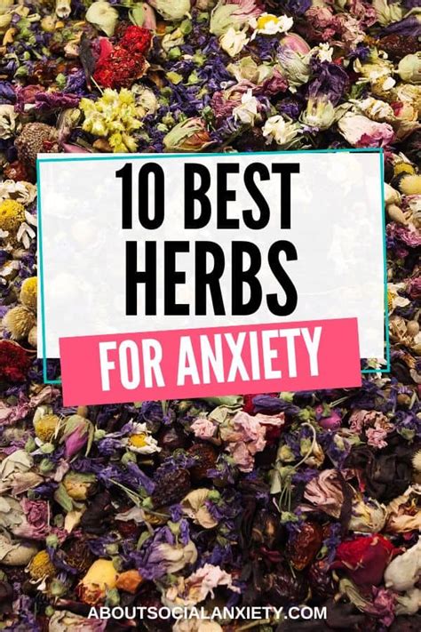 The Best Herbs For Anxiety About Social Anxiety