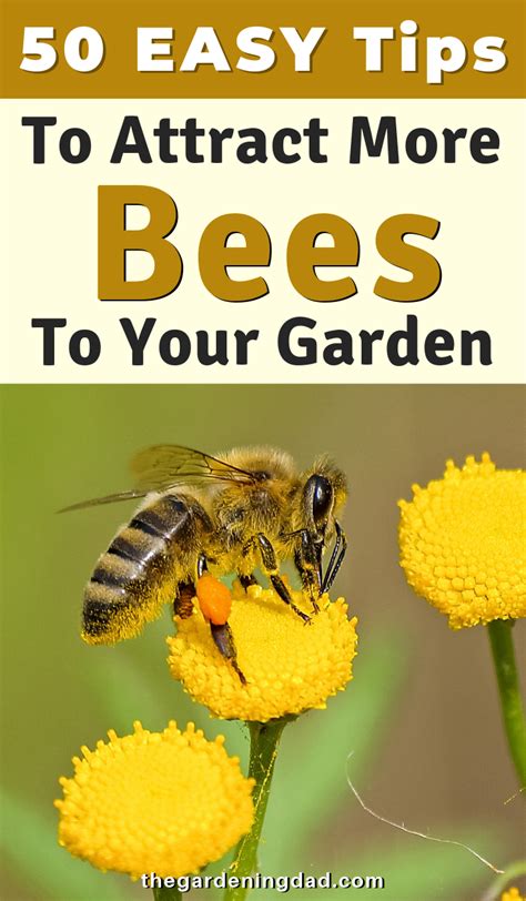 50 Useful Plants That Attract Bees To Your Garden Artofit