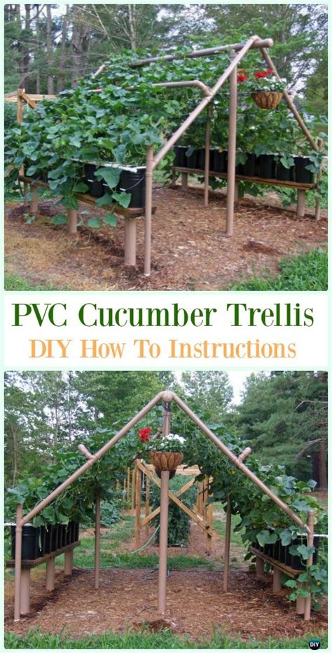 Plants encircle only it, and not neighboring crops or unfit constructions. DIY PVC Garden Projects