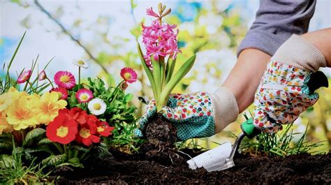 Tips And Tricks To Achieve Pro Gardening Skills