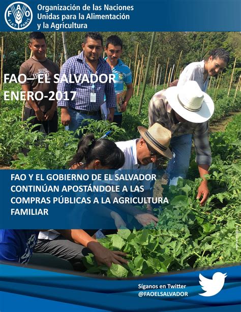 Boletín FAO El Salvador by FAO El Salvador Issuu