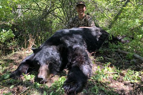 5 Options For Your Spring Black Bear Hide