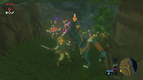 The Legend Of Zelda Breath Of The Wild Walkthrough Page 19 Of 37