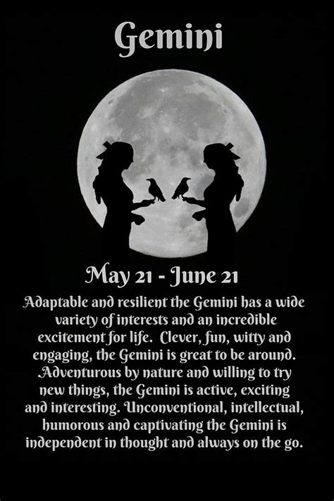 Gemini Zodiac Sign Of The Twins May And June Birthdays Photograph By