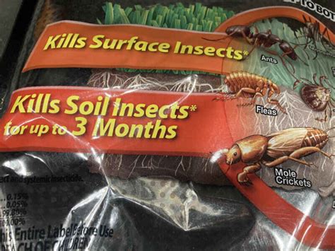 How Do You Get Rid Of Mole Crickets In Your Lawn