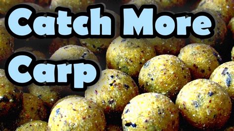 BEST CARP BAIT How To Roll Your Own The Ultimate Winter Recipe