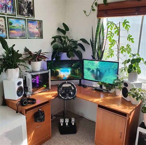 25 Cool Gaming Desk Setup With Indoor Plants