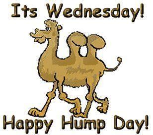 Hump Day Saying Hump Day Funny Sayings That I Can Relate To Hump Day Meme Wednesday Hump