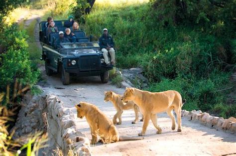 Tinga Lodge Kruger National Park Safari In South Africa
