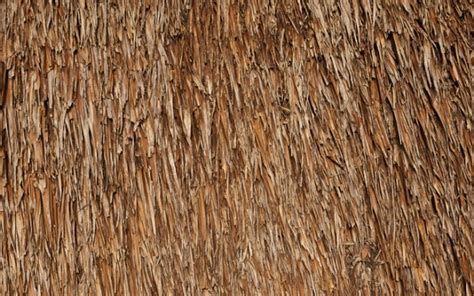 Free 12 Thatched Roof Texture Designs In Psd Vector Eps