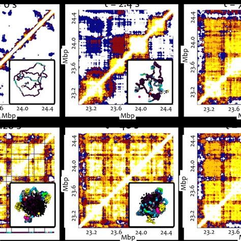 Jun 14, 2021 · i due commissari tecnici gianlorenzo blengini e davide mazzanti hanno diramato oggi la lista dei 20 preconvocati, da questi due elenchi verranno scelti i 12 uomini e le 12 donne che andranno a. Figure S7: Time evolution of domains between 10 and 20 Mbp ...