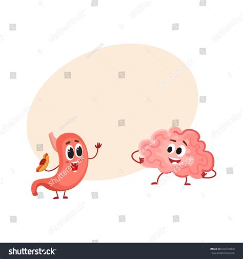 Cute Funny Human Stomach Brain Characters Stock Vector (Royalty Free