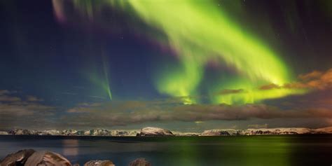 Northern Lights In Hammerfest Official Travel Guide To