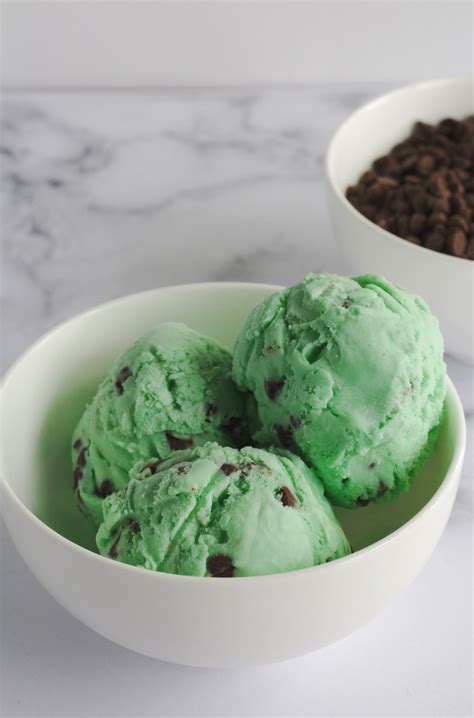 Homemade Mint Chocolate Chip Ice Cream Nina Kneads To Bake