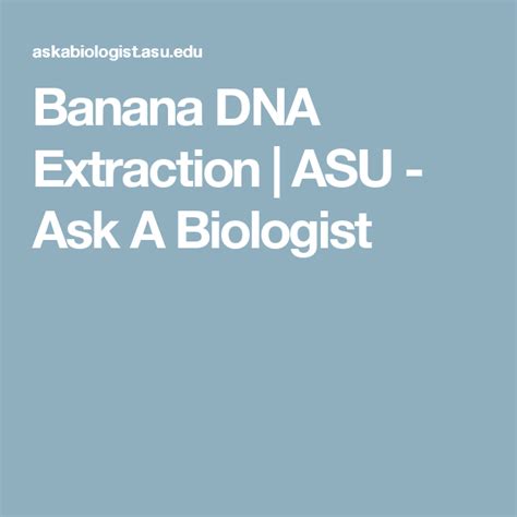 Banana Dna Extraction Asu Ask A Biologist With Images Dna Middle School Science Biologist