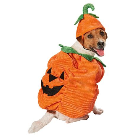 Petco Halloween Pumpkin Dog Costume Halloween Animals Dog Halloween