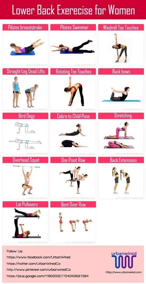 Lower Back Exercises For Women Back Strengthening Exercises