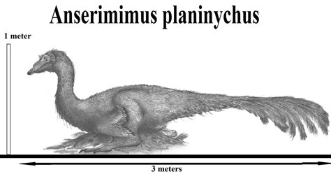 Anserimimus Planinychus By Teratophoneus On Deviantart