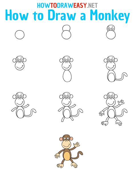 How To Draw A Monkey Easy Drawing Tutorial Images And Photos Finder
