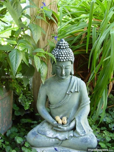 Download and use 1,000+ buddha stock photos for free. Buddha HD Photos & Wallpapers (1080p) [Android/iPhone/iPad ...