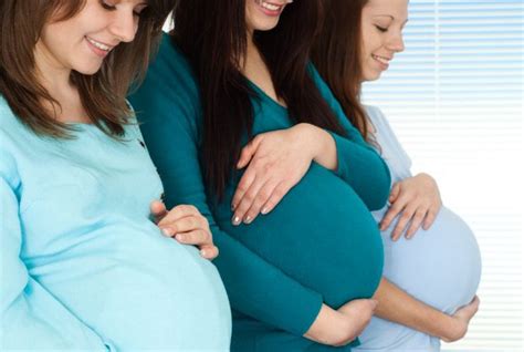 Isc Surrogate Mother International Surrogacy Consulting Iscllc