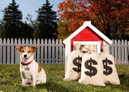 Faire garder son animal dans un chenil ou une pension pour chien ou pour chat est une solution à envisager. Faire garder son chien : comment et à quel tarif