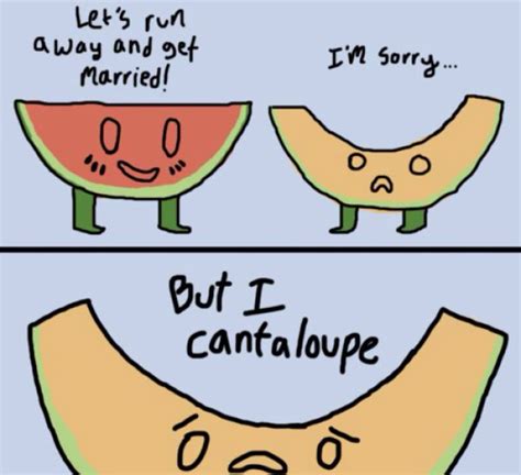 I Do Not Own This I Just Love It ️ Terrible Puns Corny Jokes Funny Quotes