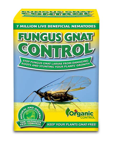 Fungus Gnat Control Organic Control Inc