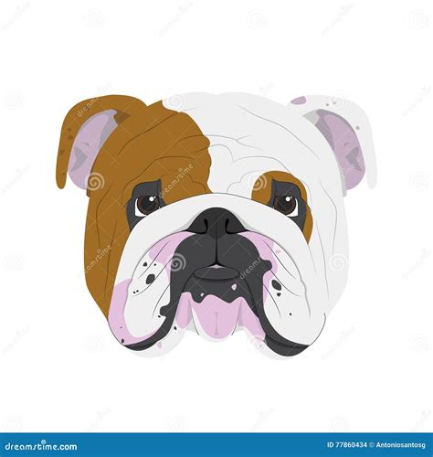 English Bulldog Dog Easy Coloring Cartoon Vector Illustration Isolated