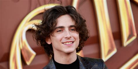 timothée chalamet did you know his girlfriend is an american superstar