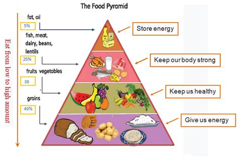 Although some people assume working out is optional, a. Food pyramid paragraph - Online Open Academy
