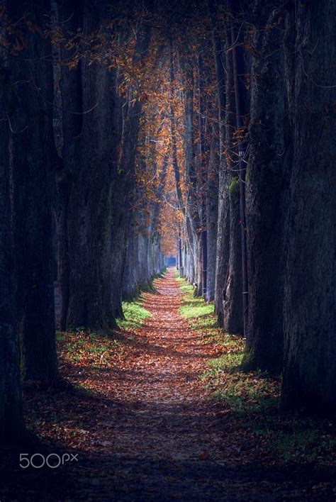 Pathway Autumn Impression Ilidza Sarajevo Bosnia Belas Imagens